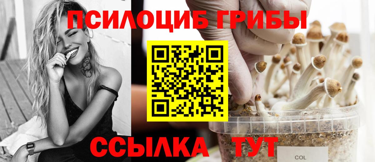 Псилоцибиновые грибы ЛСД  Вход с VPN  Зерноград 